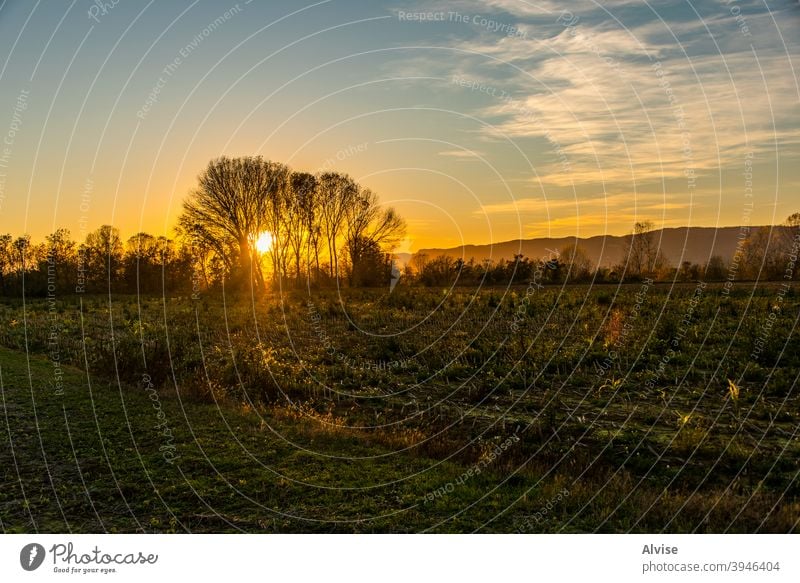 Sonnenuntergang in den Bäumen ländlich gelb Natur Landschaft Feld Himmel Baum Ackerbau Herbst schön im Freien Umwelt Saison blau Ansicht fallen grün Horizont