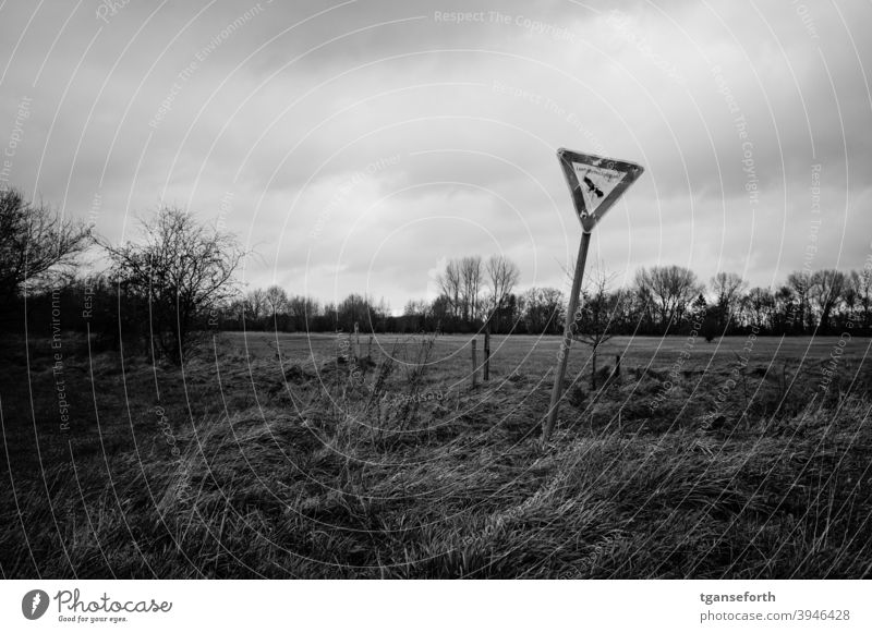 verbeultes Landschaftsschutzgebiet Schild Hinweisschild Natur Menschenleer Schilder & Markierungen Außenaufnahme alt schief Emsland Warnschild Zeichen Weideland