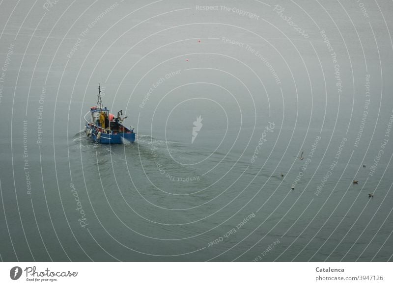 Ein Fischerboot fährt am frühen Herbstmorgen hinaus auf See Natur fahren auslaufen Meer fischen Wasser kalt Wasserfahrzeug Fishereiwirtschaft Möwen schwimmen