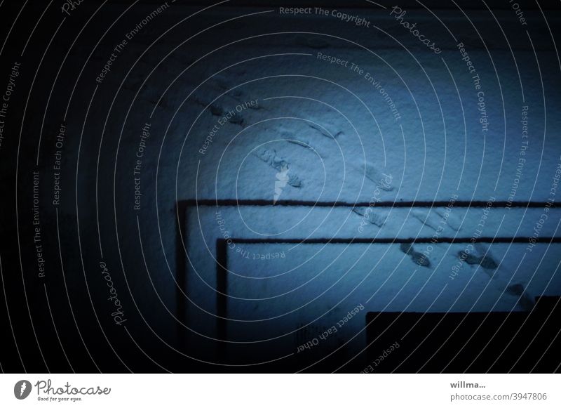 Der Wintereinbruch - auf frischer Tat ertappt Fußspuren Schnee Fußstapfen Spuren nachts Nacht dunkel Dunkelheit Kommen Gehen Komen und Gehen Besuch weggehen