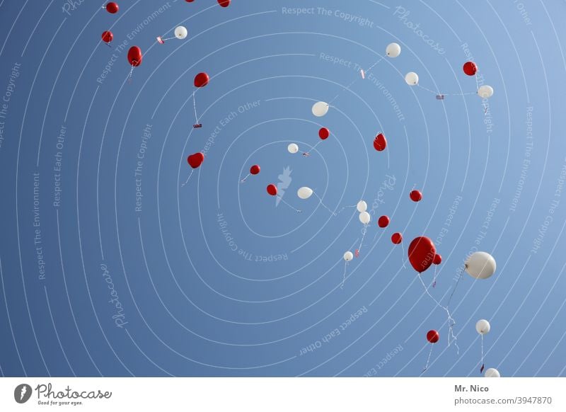 aufgeblasen I und steigen gelassen ballons Ballons Glück Himmel Luftballon Geburtstag Dekoration & Verzierung Party Feste & Feiern Veranstaltung Hochzeit