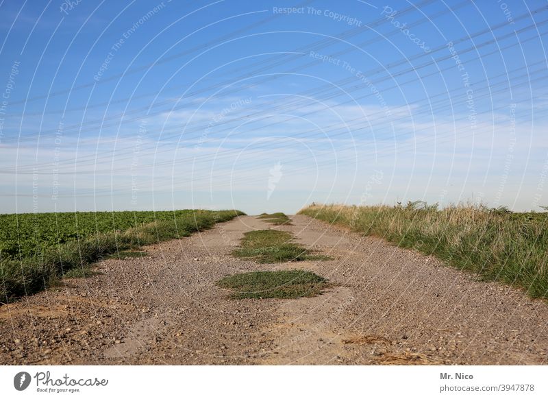 Feldweg Landschaft Umwelt Wege & Pfade Wolken Himmel Natur grün Horizont Idylle natürlich Stille Ruhe ländlich Spaziergang wandern endlos weite Schotterweg Gras