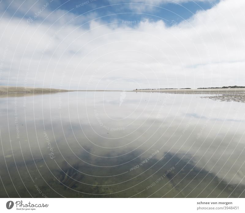 weite macht süchtig meer wasser rauschen strand Strand Wasser Wellen Sand Ferien & Urlaub & Reisen blau Erholung Himmel Horizont Natur Menschenleer Küste