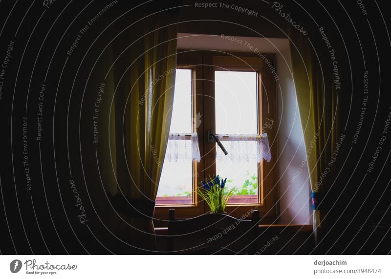 Fenster in einem Bauernhaus, mit Blick nach draußen.  Mit Gardinen und Blumen. fenster Haus Architektur Gebäude Menschenleer Blumen Nahaufnahme Gedeckte Farben