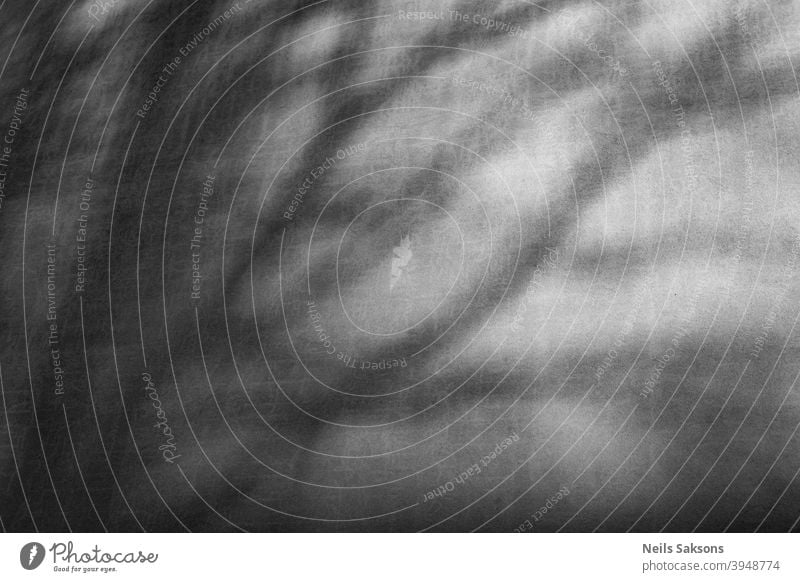 Schatten an der Wand abstrakt Minimalismus Baum Ast Sonnenuntergang Haus kein Fenster Kontrast Menschenleer Tag Mauer Außenaufnahme Fassade Gebäude Architektur