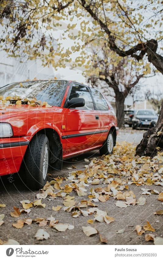 Rotes Auto mit gelben Blättern Herbst fallen Winter PKW rot Automobil Oldtimer Verkehr Herbstlaub Autofahren Straße Menschenleer Blatt Farbfoto Außenaufnahme