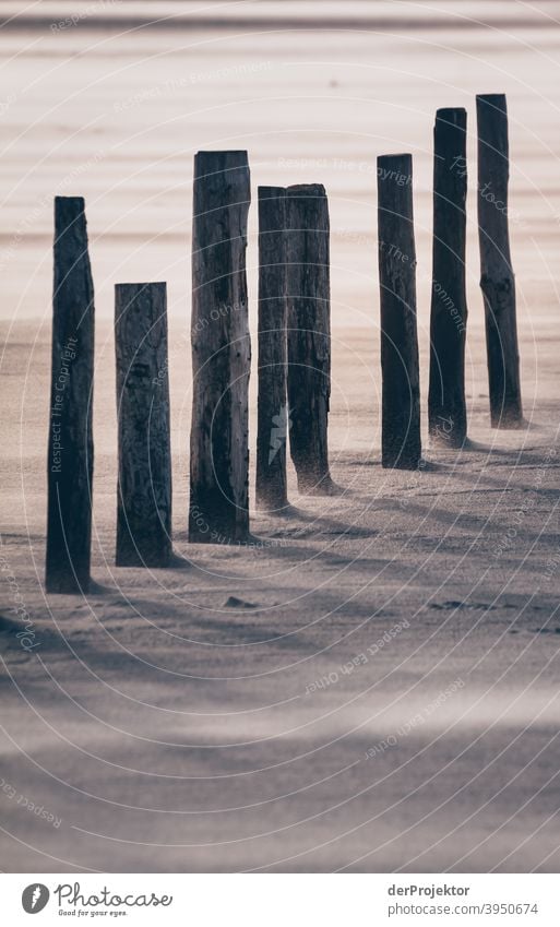 Mittags in San Peter-Ording am Strand mit Pfählen VI Weitwinkel Panorama (Aussicht) Totale Froschperspektive Starke Tiefenschärfe Sonnenaufgang Sonnenlicht