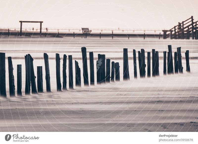 Mittags in San Peter-Ording am Strand mit Pfählen V Weitwinkel Panorama (Aussicht) Totale Froschperspektive Starke Tiefenschärfe Sonnenaufgang Sonnenlicht