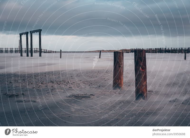 Pfähle am Strand von Sankt Peter-Ording an einem grauen Tag Panorama (Aussicht) Totale Zentralperspektive Starke Tiefenschärfe Sonnenuntergang Sonnenstrahlen