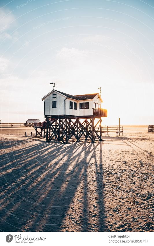 Morgens in San Peter-Ording am Strand mit Pfahlbau XI Weitwinkel Panorama (Aussicht) Totale Froschperspektive Starke Tiefenschärfe Sonnenaufgang Sonnenlicht