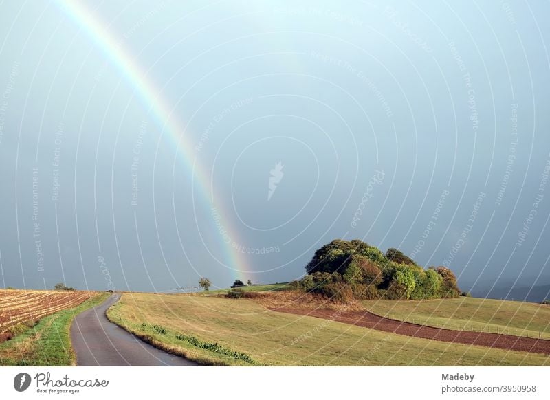 Regenbogen nach einem Gewitter in Gembeck am Twistetal im Kreis Waldeck-Frankenberg in Hessen Wetter Niederschlag Wolken Feld Weide Acker Landschaft Provinz