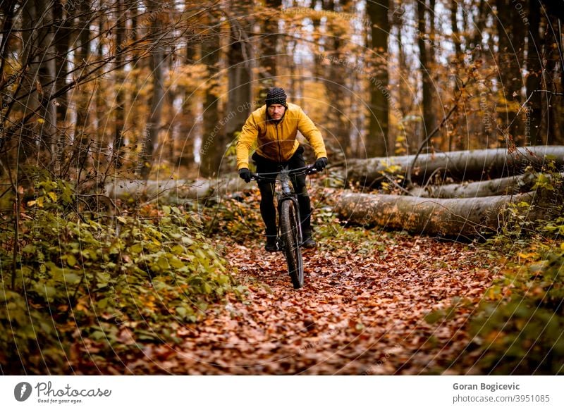 Junger Mann radelt durch den Herbstwald Wald Fahrrad Natur Zyklus Mitfahrgelegenheit Radfahrer Biker Radfahren Lifestyle im Freien Sport Übung Nachlauf