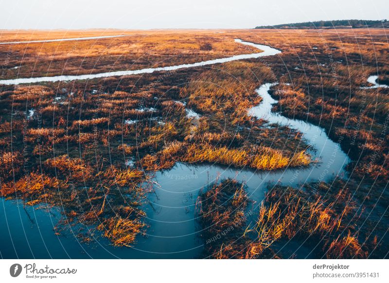 Kleiner Bach in Sankt Peter-Ording II Panorama (Aussicht) Totale Zentralperspektive Starke Tiefenschärfe Sonnenuntergang Sonnenstrahlen Sonnenlicht