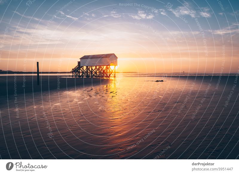 Morgens in San Peter-Ording am Strand mit Pfahlbau IX Weitwinkel Panorama (Aussicht) Totale Froschperspektive Starke Tiefenschärfe Sonnenaufgang Sonnenlicht