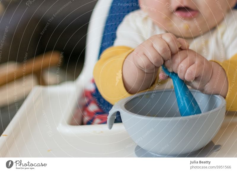 6 Monate altes Baby im Hochstuhl, das bei der Selbstfütterung mit zwei Händen nach dem Löffel greift babygeführte Entwöhnung erste Lebensmittel Apfel Apfelmus