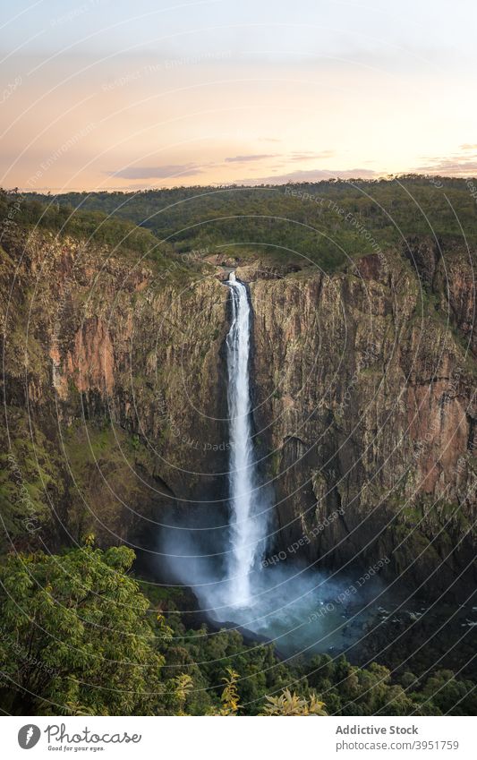 Erstaunliche Landschaft von Wasserfall fließt in felsigen Schlucht unter üppigen grünen Wald im Sonnenlicht Klippe Natur Baum vegetieren Fluss strömen