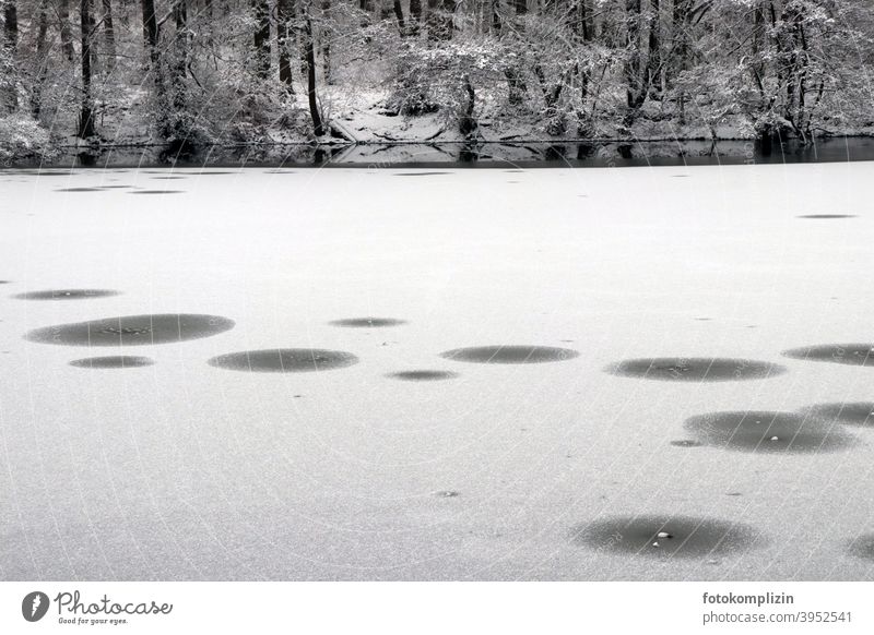 eingefrorener Waldsee kalte jahreszeit eisig kalte Temperatur See Seeufer Winter Wintertag Schneelandschaft frostig winter winterliche Stille Wintereinbruch