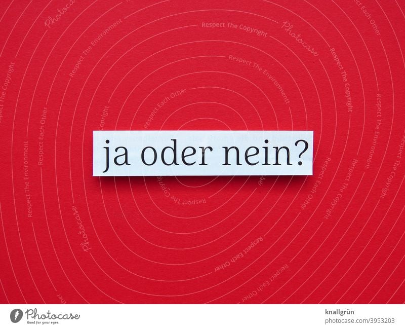 Ja oder nein? Zweifel unsicher ja oder nein Entscheidung wählen Demokratie Erwartung nachdenken entscheiden unentschlossen Typographie Buchstaben Wort Letter