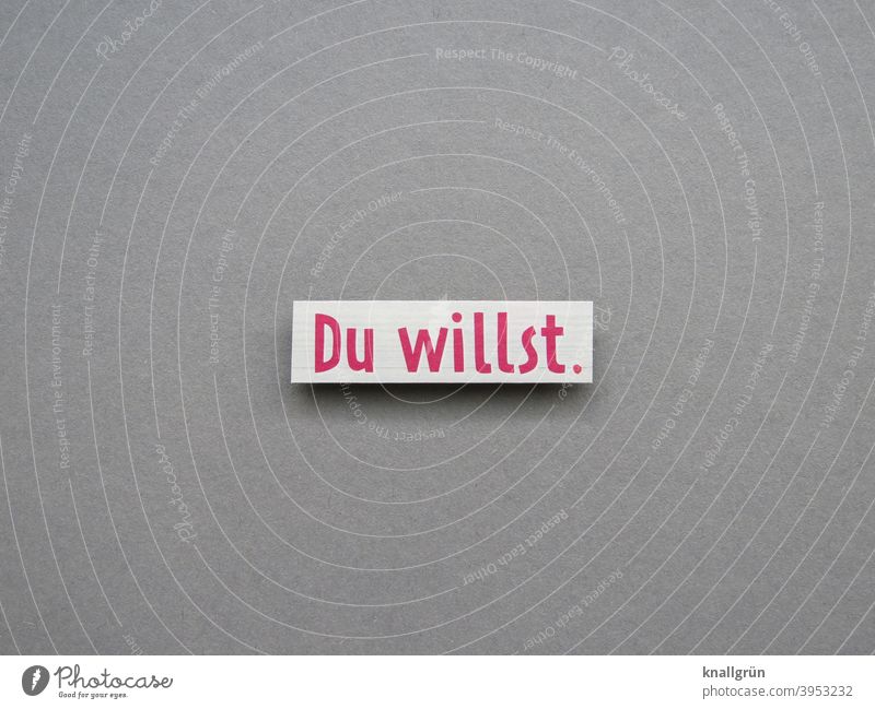 Du willst. wollen Wille Erwartung Text Schriftzeichen Buchstaben Wort Mitteilung Typographie Menschenleer Kommunikation Sprache Letter Verständigung