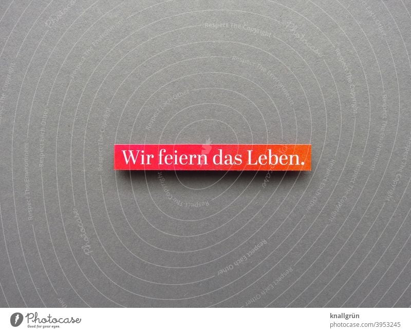 Wir feiern das Leben. Glück Lebensfreude Fröhlichkeit Leichtigkeit Freude Mensch Feste & Feiern Zufriedenheit Erwartung Stimmung Gefühle Begeisterung Euphorie