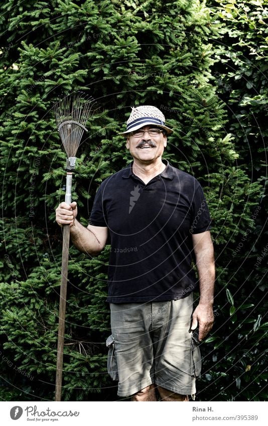 Zeig mal was 'ne Harke ist Gartenarbeit Mann Erwachsene 1 Mensch 60 und älter Senior Natur Sommer Schönes Wetter Baum Tanne Hemd Shorts Hut Bart Oberlippenbart