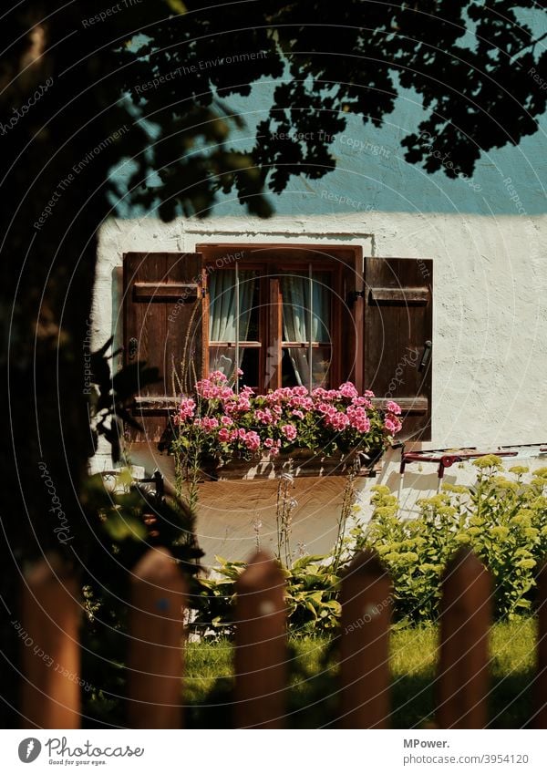 doryidylle Dorf Dorfidylle Bauernhaus Fenster Blumenkasten Fensterladen Holzfenster Vorgarten Haus Fassade Häusliches Leben Gebäude Bauwerk Zaun Sommer Bayern