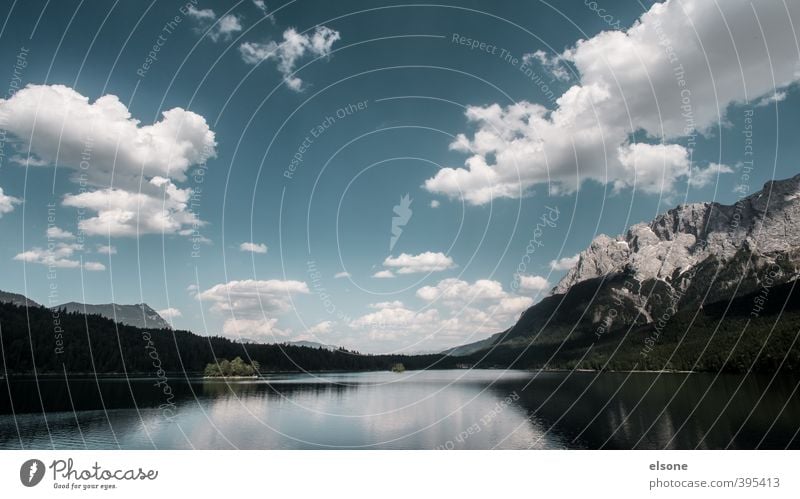 EIBSEE Natur Landschaft Wasser Himmel Wolken Sommer Schönes Wetter Baum Wald Felsen Alpen Berge u. Gebirge Zugspitze Schneebedeckte Gipfel Seeufer Eibsee