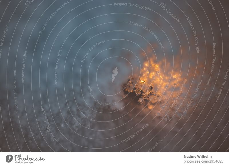 Lichterkette unterm Schnee Schneeflocke Schneedecke Frost Blau Orange Winter Eis kalt weiß Natur Farbfoto blau Schneefall Außenaufnahme Klima Schneelandschaft