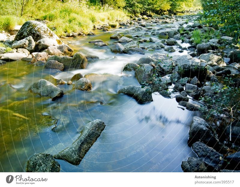 steinig Umwelt Natur Landschaft Pflanze Wasser Sommer Wetter Schönes Wetter Wärme Baum Gras Sträucher Blatt Felsen Wellen Flussufer Bach Wasserfall Stein kalt