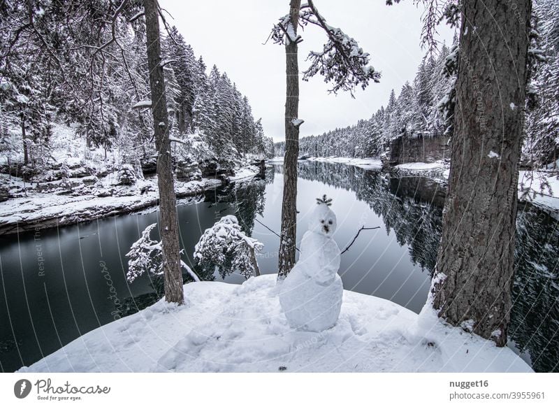 Winterlandschaft am Stausee Schnee Baum Schneemann kalt weiß Außenaufnahme Natur Freude Jahreszeiten Spielen Weihnachten Ferien & Urlaub & Reisen Wetter See