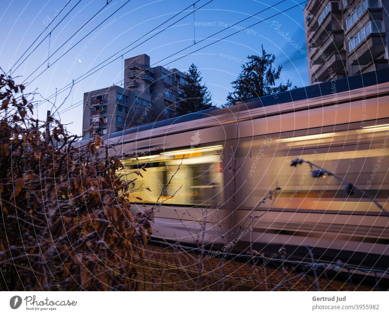 Vorbeifahrende Straßenbahn im Morgengrauen Landschaft Natur Winter Außenaufnahme Umwelt kalt Gedeckte Farben Bewegung Bewegungsunschärfe Straßenverkehr Mond