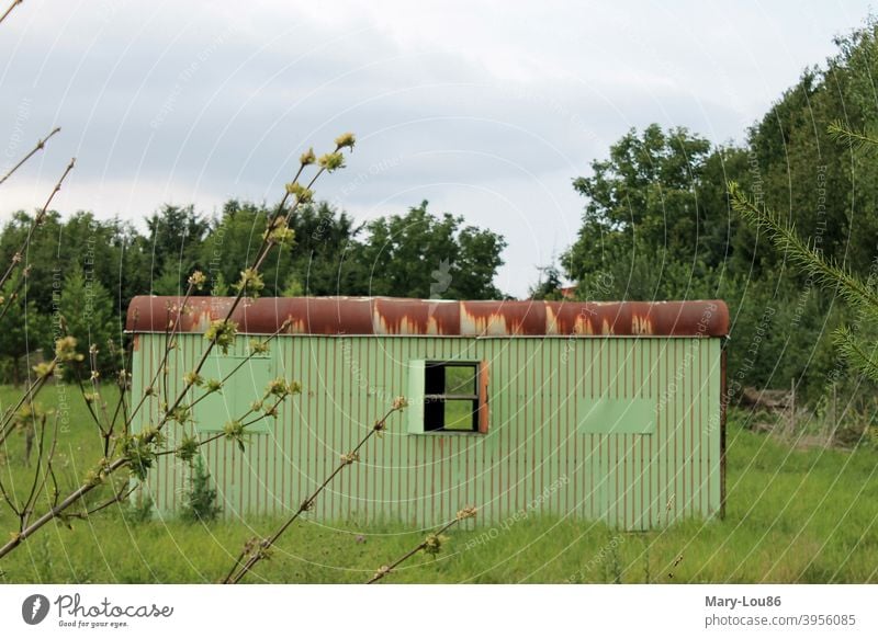 Grüner Wohnwagen auf Wiese Container Baum Natur Draußen Außenaufnahme außergewöhnlich Rost Fenster verlassen verfallen Einsamkeit einsam Menschenleer Himmel Tag