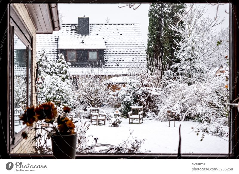 Stille des ersten Schnees Winter Winterstimmung Schneefall kalt Wintertag erster Schnee Großstadt Haus Garten weiß Schneelandschaft Eis Windstille Erholung