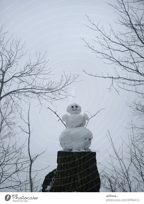 Das fröhliche Schneemännlein Schneemann Winter Baumstumpf kalt gute Laune Winterfreude Geäst Farbfoto