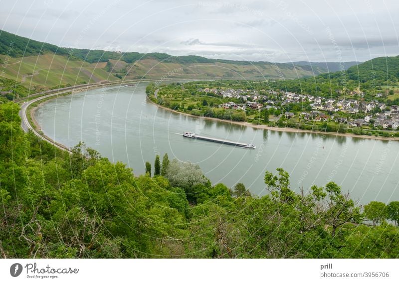 Rheinschlucht bei Filsen filsen rhein Fluss oberes Mittelrheintal mittelrhein Ufer deutschland Hügel hangneigung flussufer Wasser Landschaft außen hängen