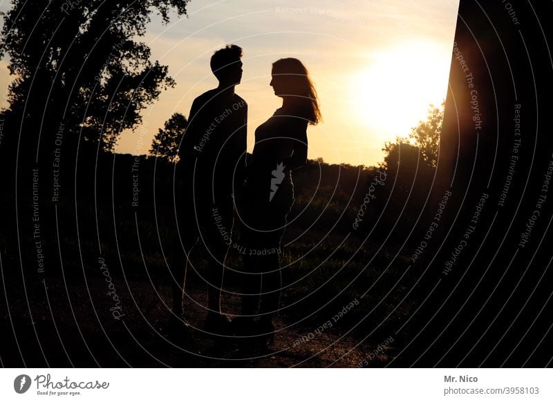 romantischer Sommerabend zu zweit Paar Umwelt Natur Glück gold gelb Sympathie Freundschaft Verliebtheit Liebe Zusammensein Romantik Silhouette Schatten