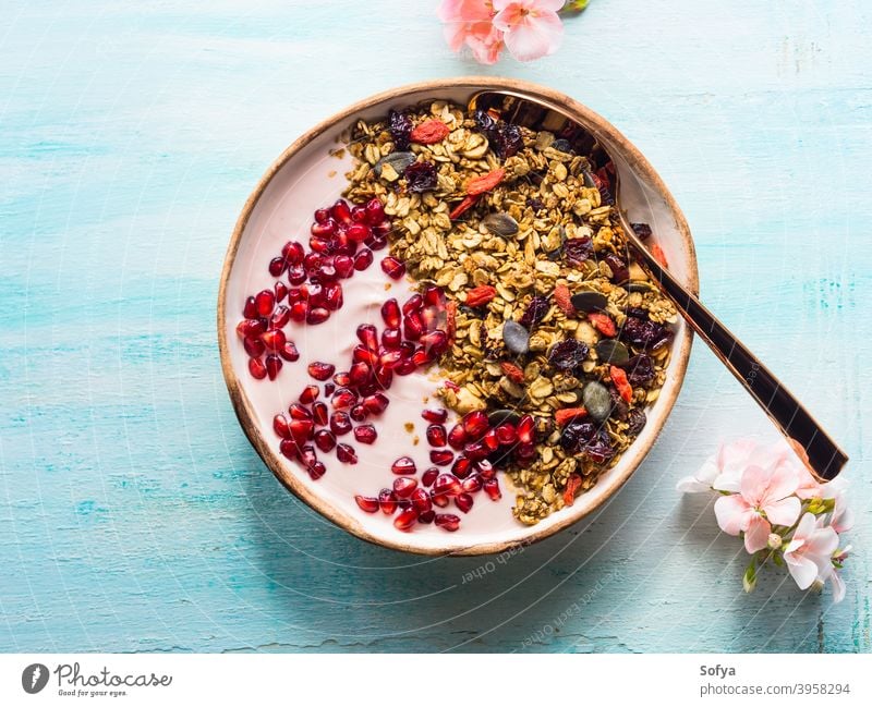 Gesunde Joghurtschale mit Müsli und Granatapfel Schalen & Schüsseln Gesundheit Beeren Frucht Entzug selbstgemacht essen Top Ansicht Herbst fallen Frühling Blume