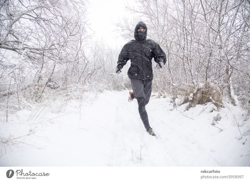 Mann läuft mit Hund in verschneiter Landschaft Schnee rennen kalt Winter Spaziergang Menschen Saison Jogger Park jung Frau Person gefroren schön reisen