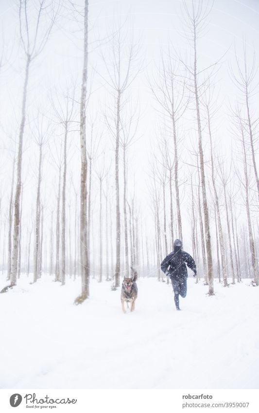 Mann läuft mit Hund in verschneiter Landschaft Schnee rennen kalt Winter Spaziergang Menschen Saison Jogger Park jung Frau Person gefroren schön reisen