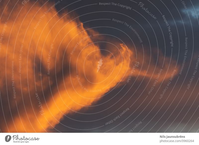 Goldene Stunde mit Feuerwolken. Schöner Sonnenuntergang mit Bäumen. Goldene Stunde in der Zeit des Sonnenuntergangs. Feuerwolken Vorrichtung Atmosphäre hell