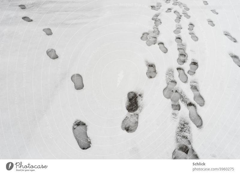 Fußspuren im Schnee einer geht einen anderen Weg anders abbiegen eigenwillig eigener weg Einzelgänger Spuren Winter anders sein eigene Wege gehen Wege & Pfade