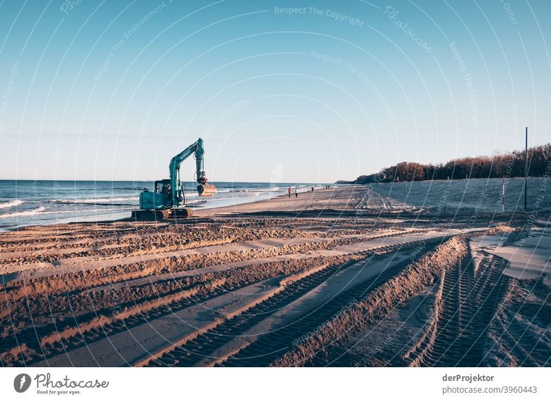 Dünenschutz auf Usedom im Winter II Weitwinkel Panorama (Aussicht) Zentralperspektive Totale Starke Tiefenschärfe Lichterscheinung Kontrast Schatten