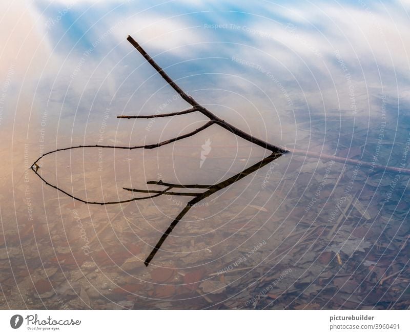 Ein Zweig im Wasser mit Spiegelung sehen zweig Himmel laub Natur Ufer Winter herbst blau Sonne Landschaft pflanze minimalistisch Ruhe Vergänglichkeit wolken