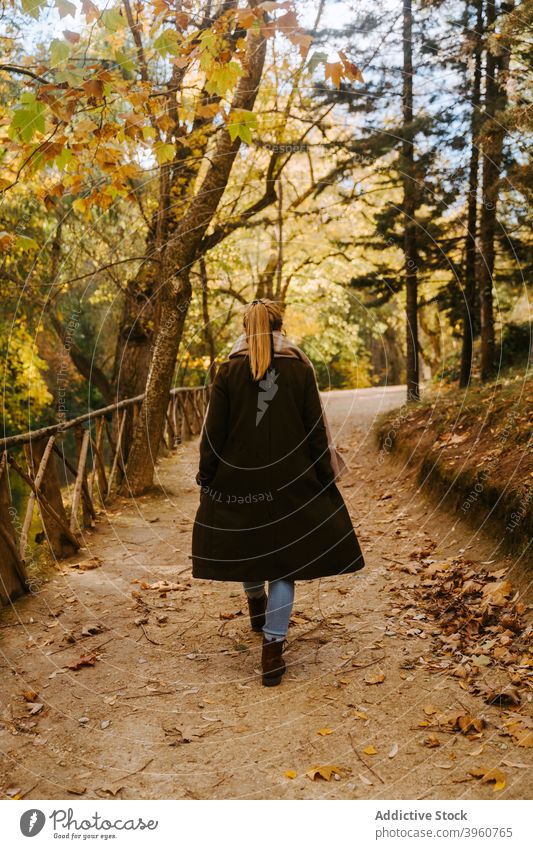 Frau geht auf Steg im Wald Brücke Herbst Spaziergang Wochenende schlendern Saison Weg hölzern Natur fallen Baum ruhen Harmonie Wälder Gelassenheit friedlich