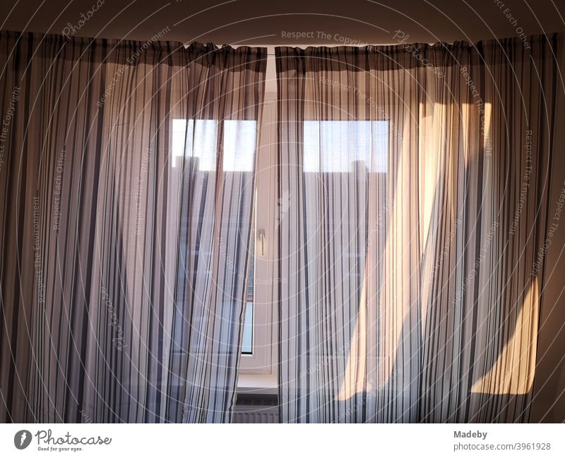 Gardine vor dem Fenster einer Dachwohnung bei Sonnenschein im angesagten Nordend in Frankfurt am Main in Hessen Vorhang Sichtschutz Sonnenschutz Schlafzimmer