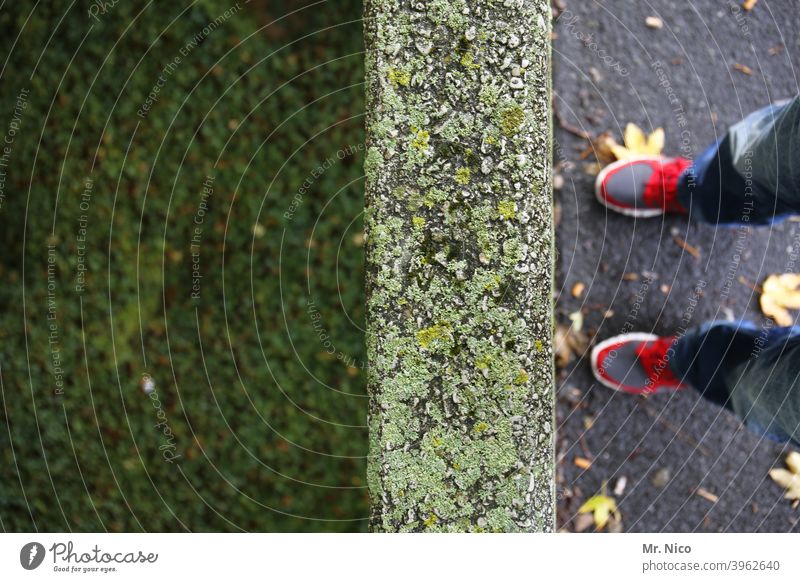 Sackgasse Mauer Wand Stein Grenze Schuhe Beine stehen Wiese Rasen Gras Fuß grün Hose laub Hindernis abgrund tiefergelegt Moos moosbedeckt Vogelperspektive Boden