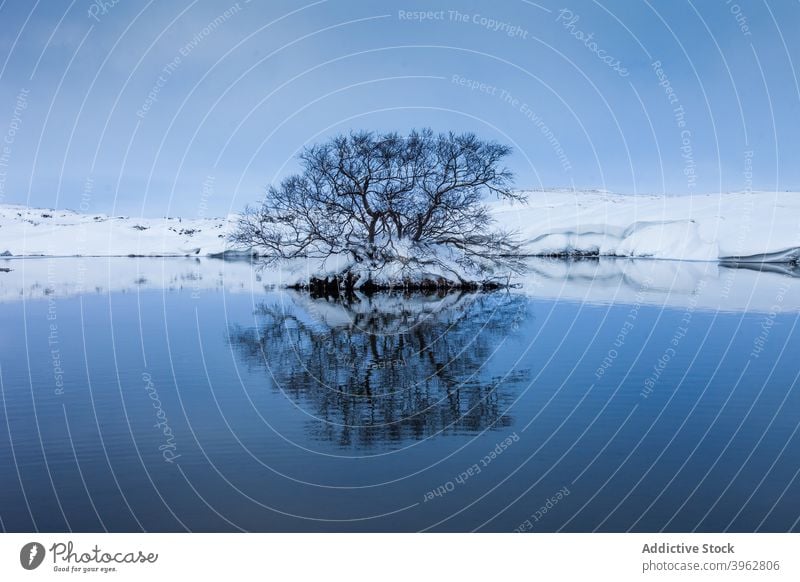 See in bergigem Gelände im Winter Baum Schnee Landschaft Sonnenuntergang Winterzeit Hochland Island Himmel ruhig malerisch idyllisch Natur atemberaubend Wasser