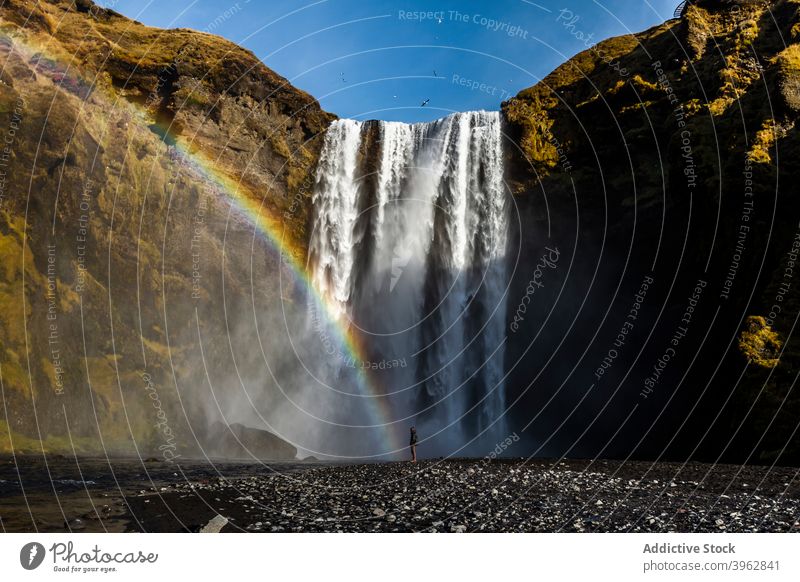 Explorer stehend in der Nähe Wasserfall am sonnigen Tag Regenbogen Reisender Berge u. Gebirge Urlaub Landschaft erstaunlich fließen strömen Tourismus Island