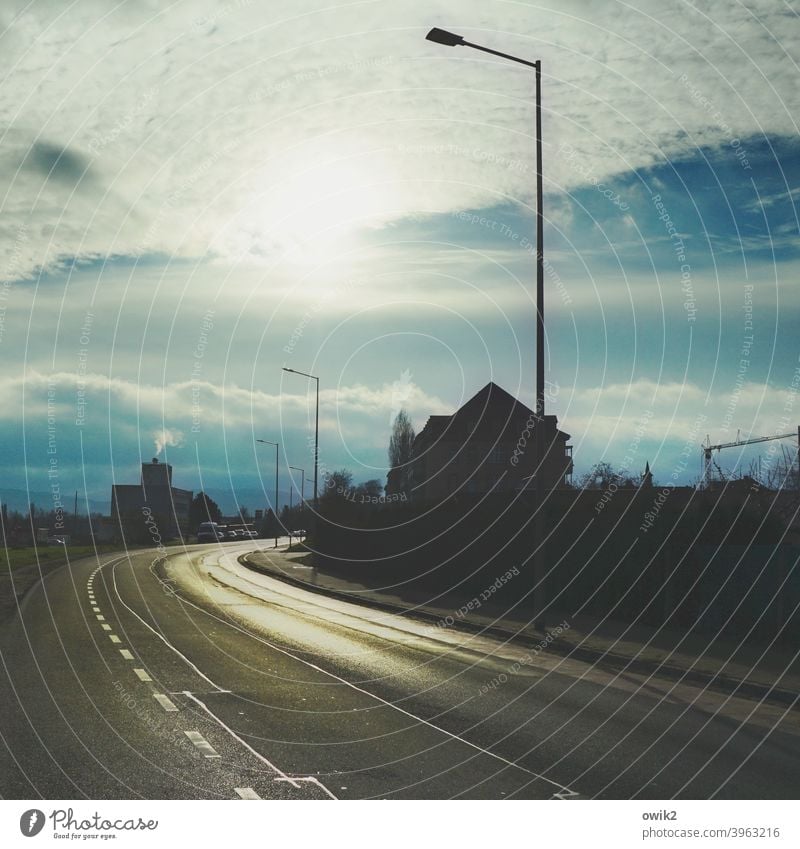 Winternachmittag Straße Verkehrswege Kurve Horizont Schönes Wetter Baum dunkel leuchten Richtung Farbfoto Gedeckte Farben Außenaufnahme Menschenleer