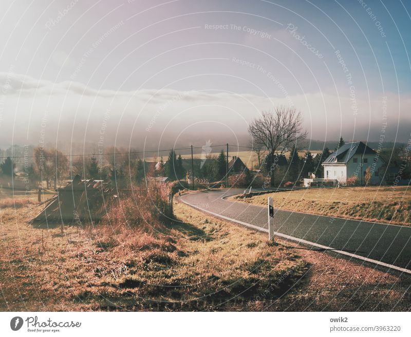 Delany Dorf Häuser Natur Idylle Landschaft Gras Baum Kurve Straße Ferne Ziel beschaulich Farbfoto Lausitz Asphalt Menschenleer Textfreiraum oben Sonnenlicht Tag